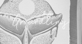 2_Flashbook_tattoo-6