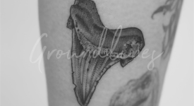 Portfolio_Tattoo_Groundlines-21