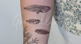 Portfolio_Tattoo_Groundlines-23