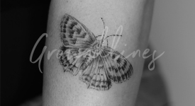 Portfolio_Tattoo_Groundlines-47