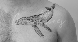 Portfolio_Tattoo_Groundlines-49