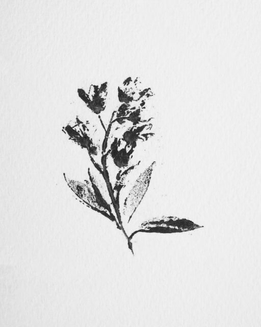 Deze unieke tattoo ontwerpen zijn gebaseerd op handgemaakte botanische prints. Uitgewerkt in dotwork in grijstinten, vol leuke details en structuurtjes. Er is keuze uit 3 soorten, elk eenmalig beschikbaar. Swipe voor meer details, voorbeelden en plaatsingen!

Interesse in een van deze handgemaakte ontwerpen? Mail naar robin@studiogroundlines.nl om te boeken of rechtstreeks via www.tattoolab.nl, voorzien van een screenshot van jouw keuze.

Serie: 'Flower print'
Stijl: dotwork, illustratief, abstract, print
Plaatsing: o.a. arm, been, enkel, of als opvuller tussen bestaande tattoos
Formaat: min. 12 cm
Repeatable: nee

#flowerprint #abstracttattoo #tattooflash #tattooflashdesign #naturetattoo #handmadetattoo
