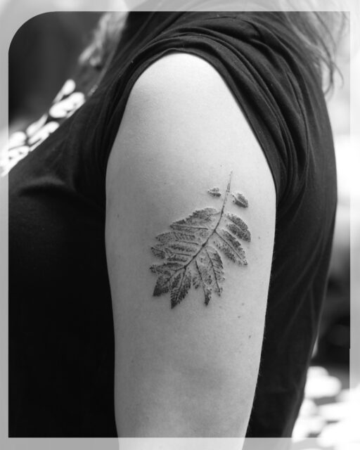 So happy this client came back and chose this botanical leaf design. Based on handmade prints from collected leaves. 

She didn't want the tattoo to turn out too heavy, so went with a softer greywash and dotwork. Will share more new similar designs soon! In the meantime: check out the available designs in the 'Dotwork' highlight to get a tattoo like this :-)