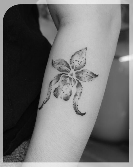 Kiki kwam deze week langs voor haar tweede tattoo! Een speelse orchidee met leuke structuurtjes. Het custom ontwerp is gebaseerd op een handgemaakte tekening en uitgewerkt in zachte grijstinten. 

Ook een tattoo in deze stijl? Dan ben ik benieuwd naar jouw idee. Botanische onderwerpen laten zich perfect vertalen naar deze illustratieve stijl. Mail naar robin@studiogroundlines.nl of boek rechtstreeks via www.tattoolab.nl. 

Bedankt voor het terugkomen! 

#flowertattoo #handmadedesign #customtattoo #orchidtattoo #flowertattoo