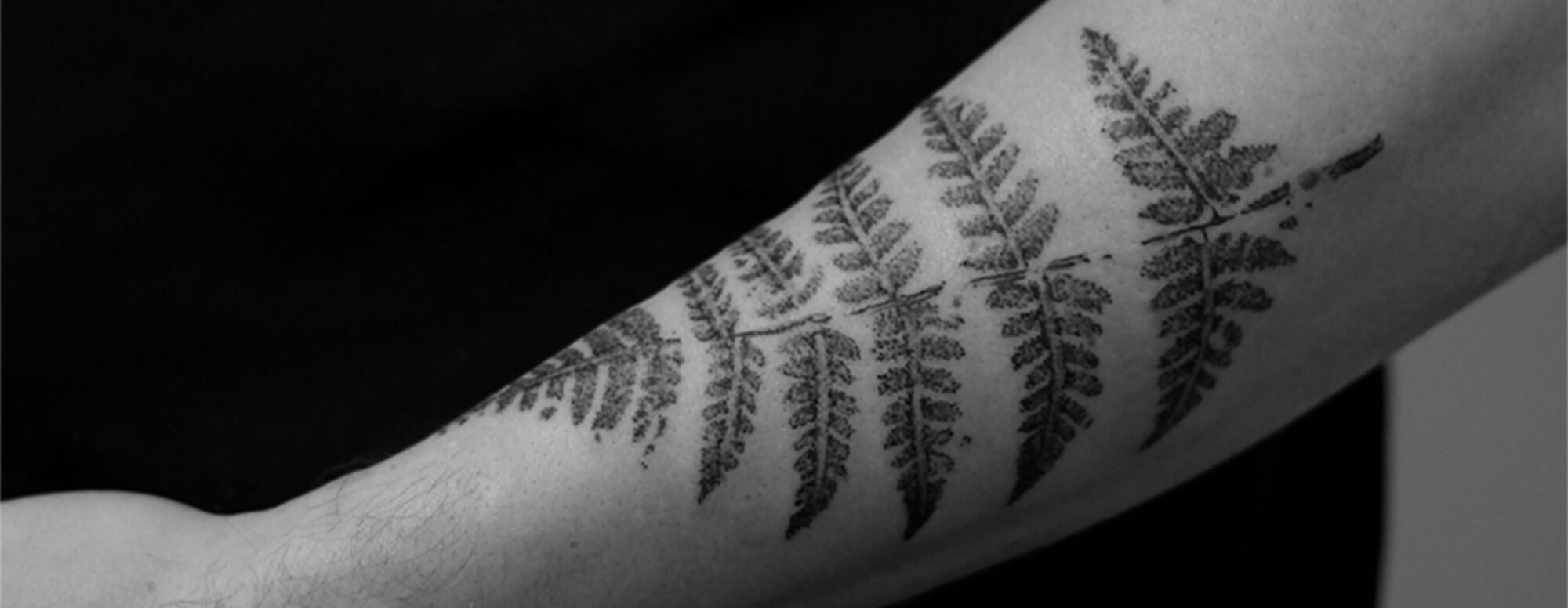 Realistische tattoo in dotwork stijl van een varen op de arm