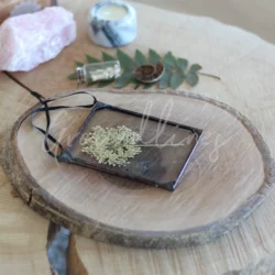 Handgemaakte accessoire van tiffany met kleine gedroogde schermbloem
